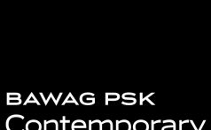 BAWAG PSK Contemporary Logo