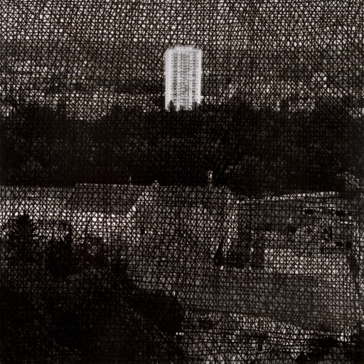 Lea Titz "Graze" 2011, Tusche, Barytabzug auf Aluminium,100x100cm
