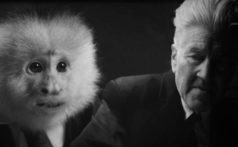 netflix-david-lynch-what-did-jack-do-short-film-monkey