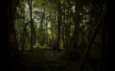 Poluotok_4
